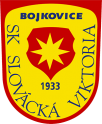 SK Slovácká Viktoria Bojkovice