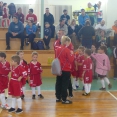 Halový mezinárodní jarní turnaj benjamínků (2.4.2016)