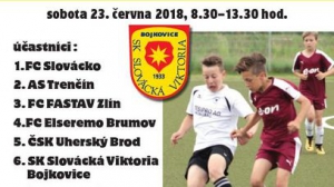 7. ročník Memoriálu Jaromíra Krejčiříka včetně fotek z turnaje!!