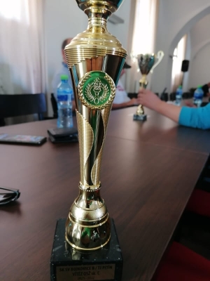 ŽÁCI B (PITÍN) VYHRÁLI OKRESNÍ SOUTĚŽ!