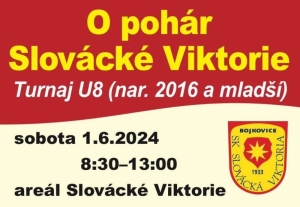 St. žáci: Bojkovice - Mařatice 1:6 (1:3)