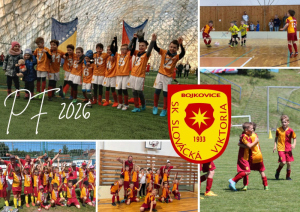 Muži A: Těšnovice - Bojkovice 2:1 (0:0)